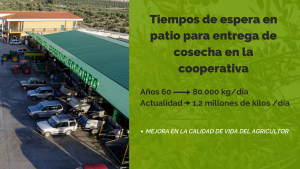 Copia de Copia de Agregar un título